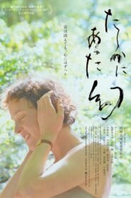 Yakushima’s Illusion